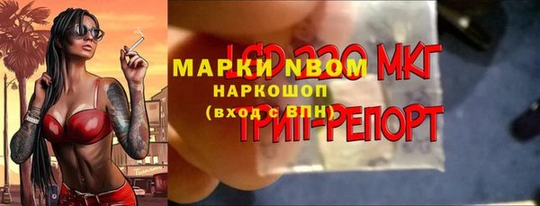 трава Аркадак