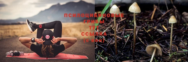 тгк Арсеньев